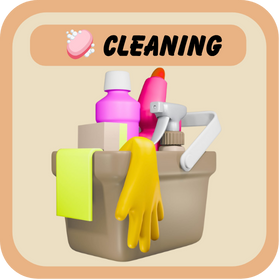 Cleaning Category